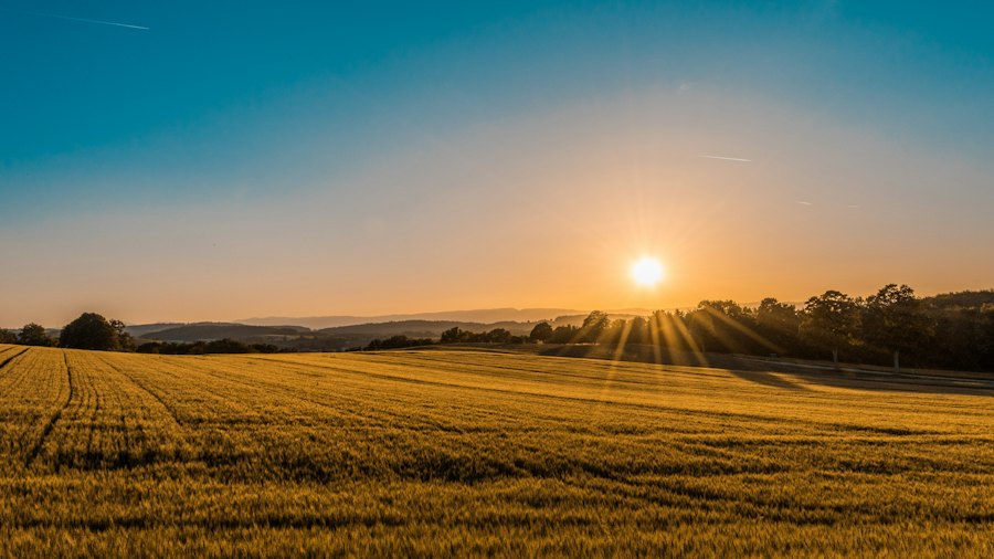 Agricultural Traceability From Farm To Fork