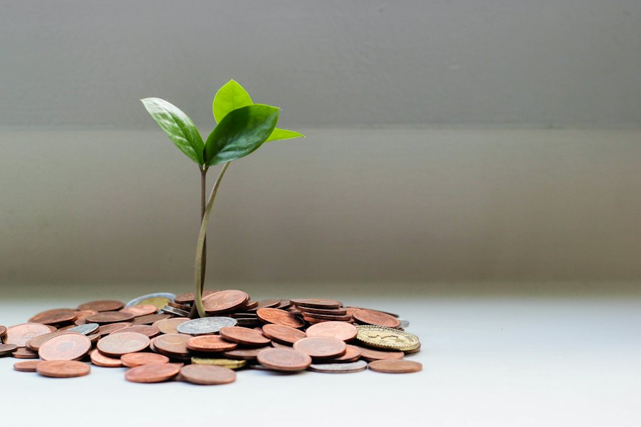 Capital returns and is redeployed